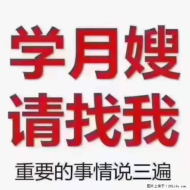 为什么要学习月嫂,育婴师? - 其他广告 - 广告专区 - 潜江分类信息 - 潜江28生活网 qianjiang.28life.com