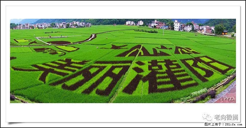 【春天，广西桂林灌阳县向您发出邀请！】开篇 - 游山玩水 - 潜江生活社区 - 潜江28生活网 qianjiang.28life.com