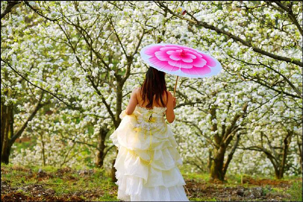 【春天，广西桂林灌阳县向您发出邀请！】我们在灌阳看梨花 - 游山玩水 - 潜江生活社区 - 潜江28生活网 qianjiang.28life.com