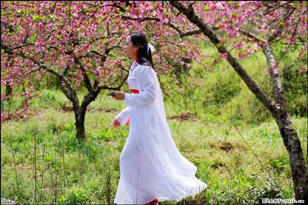 【春天，广西桂林灌阳县向您发出邀请！】官庄村有个醉美的桃花园 - 游山玩水 - 潜江生活社区 - 潜江28生活网 qianjiang.28life.com