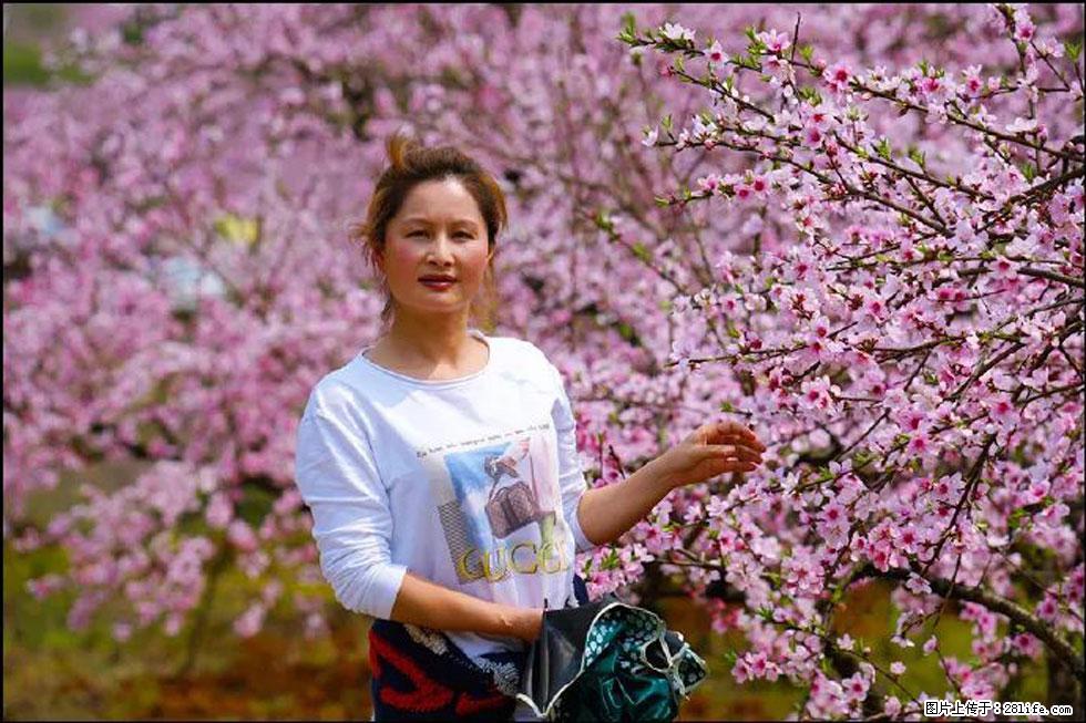 【春天，广西桂林灌阳县向您发出邀请！】官庄村有个醉美的桃花园 - 游山玩水 - 潜江生活社区 - 潜江28生活网 qianjiang.28life.com