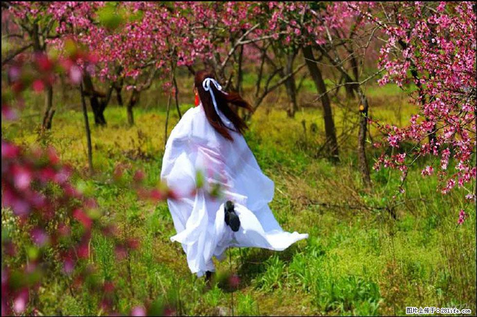 【春天，广西桂林灌阳县向您发出邀请！】官庄村有个醉美的桃花园 - 游山玩水 - 潜江生活社区 - 潜江28生活网 qianjiang.28life.com