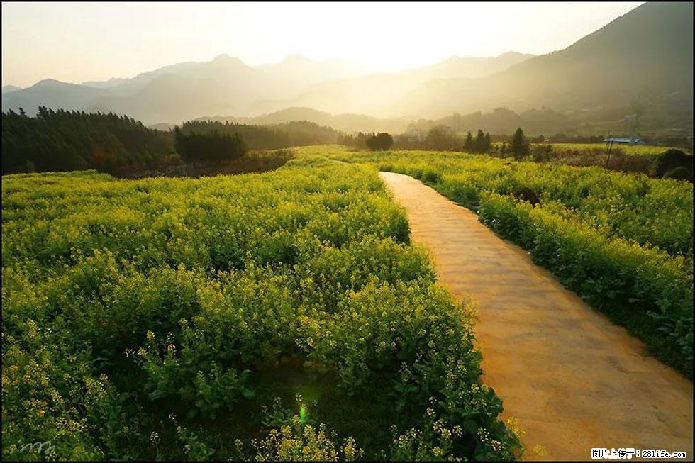 【春天，广西桂林灌阳县向您发出邀请！】长坪村油菜盛情花开 - 游山玩水 - 潜江生活社区 - 潜江28生活网 qianjiang.28life.com
