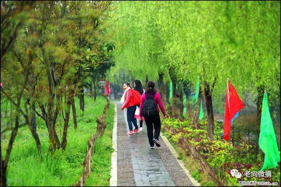 【春天，广西桂林灌阳县向您发出邀请！】江口老街又逢春 - 游山玩水 - 潜江生活社区 - 潜江28生活网 qianjiang.28life.com