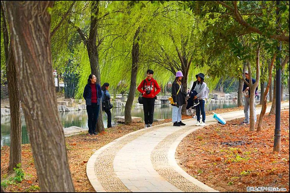 【春天，广西桂林灌阳县向您发出邀请！】江口老街又逢春 - 游山玩水 - 潜江生活社区 - 潜江28生活网 qianjiang.28life.com