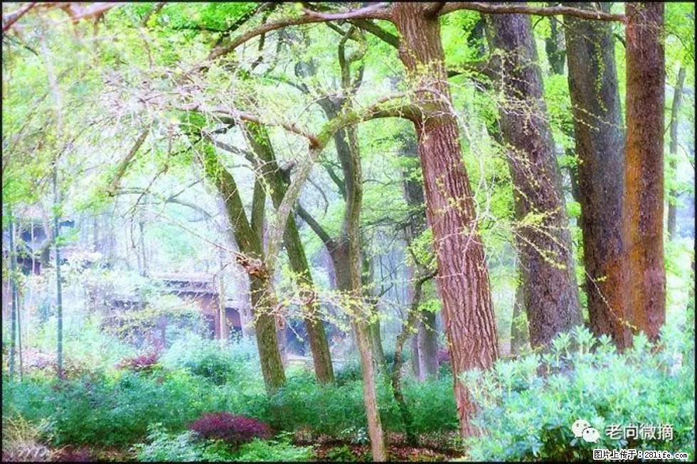 【春天，广西桂林灌阳县向您发出邀请！】在小龙村与春天约会 - 游山玩水 - 潜江生活社区 - 潜江28生活网 qianjiang.28life.com