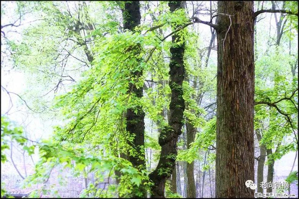 【春天，广西桂林灌阳县向您发出邀请！】在小龙村与春天约会 - 游山玩水 - 潜江生活社区 - 潜江28生活网 qianjiang.28life.com