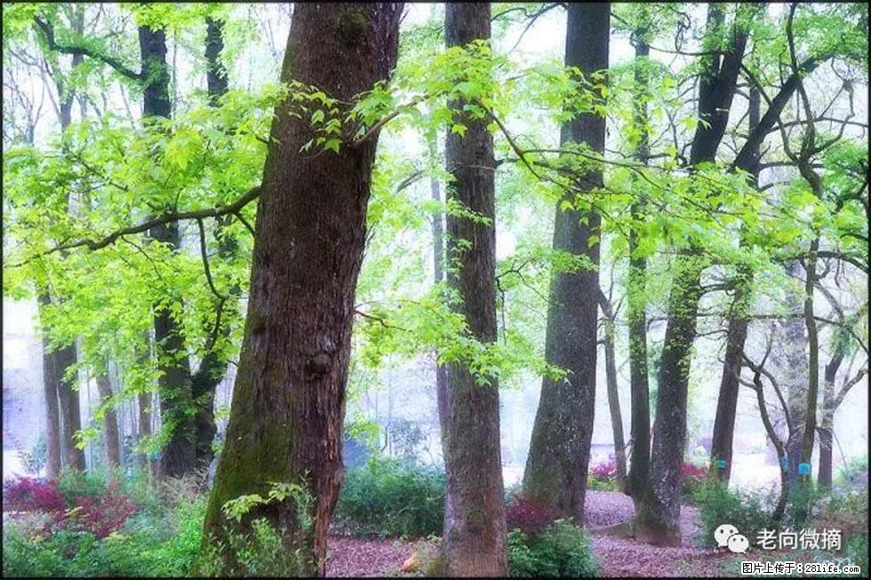 【春天，广西桂林灌阳县向您发出邀请！】在小龙村与春天约会 - 游山玩水 - 潜江生活社区 - 潜江28生活网 qianjiang.28life.com