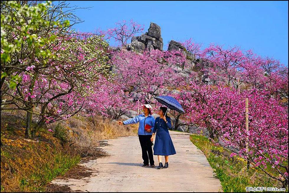 【春天，广西桂林灌阳县向您发出邀请！】望月岭上桃花开 - 游山玩水 - 潜江生活社区 - 潜江28生活网 qianjiang.28life.com