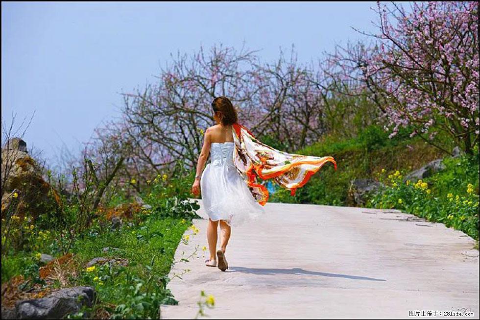 【春天，广西桂林灌阳县向您发出邀请！】望月岭上桃花开 - 游山玩水 - 潜江生活社区 - 潜江28生活网 qianjiang.28life.com