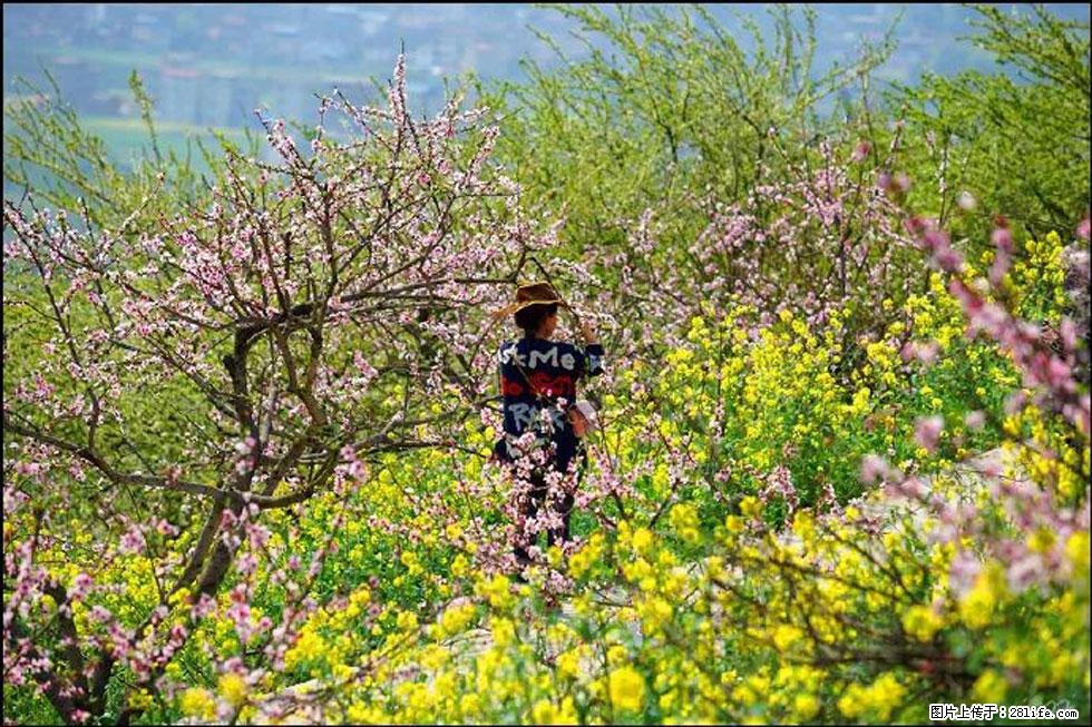 【春天，广西桂林灌阳县向您发出邀请！】望月岭上桃花开 - 游山玩水 - 潜江生活社区 - 潜江28生活网 qianjiang.28life.com