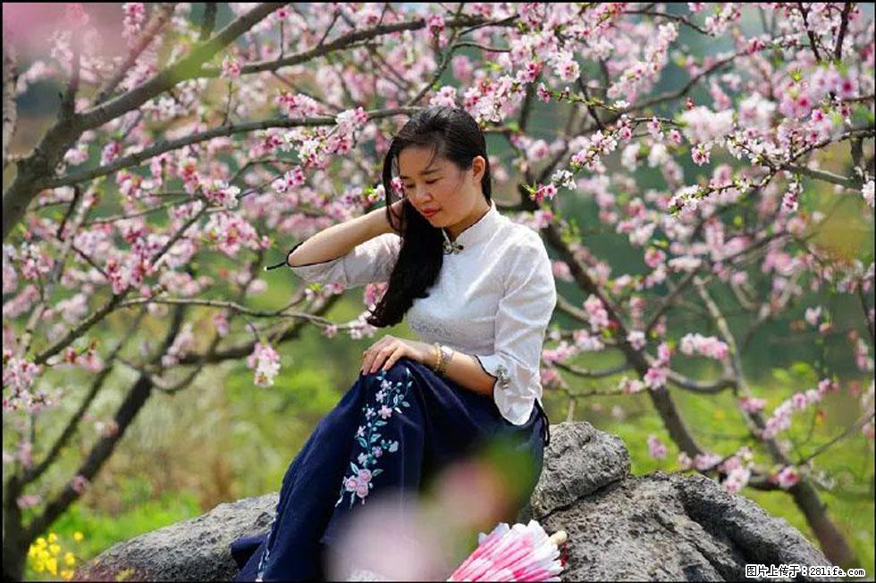 【春天，广西桂林灌阳县向您发出邀请！】望月岭上桃花开 - 游山玩水 - 潜江生活社区 - 潜江28生活网 qianjiang.28life.com