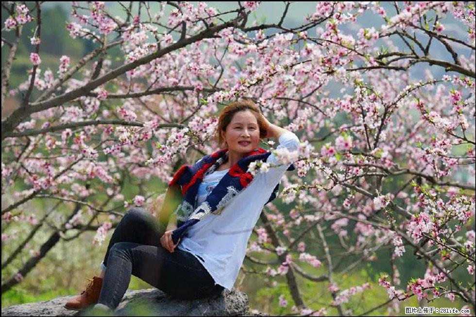 【春天，广西桂林灌阳县向您发出邀请！】望月岭上桃花开 - 游山玩水 - 潜江生活社区 - 潜江28生活网 qianjiang.28life.com