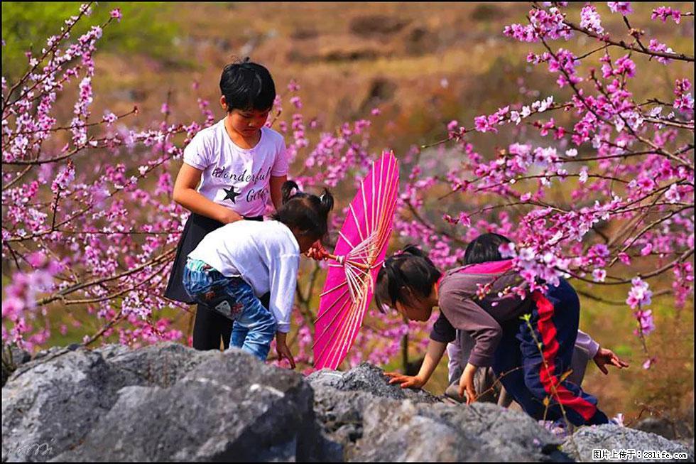 【春天，广西桂林灌阳县向您发出邀请！】望月岭上桃花开 - 游山玩水 - 潜江生活社区 - 潜江28生活网 qianjiang.28life.com