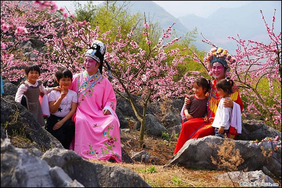 【春天，广西桂林灌阳县向您发出邀请！】望月岭上桃花开 - 游山玩水 - 潜江生活社区 - 潜江28生活网 qianjiang.28life.com