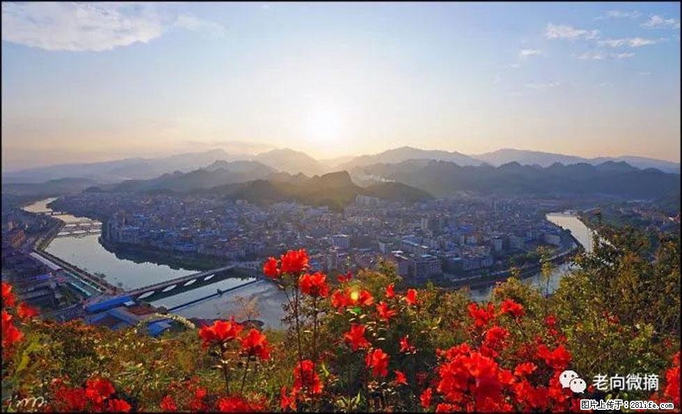 【春天，广西桂林灌阳县向您发出邀请！】登麒麟山，相约映山红 - 游山玩水 - 潜江生活社区 - 潜江28生活网 qianjiang.28life.com