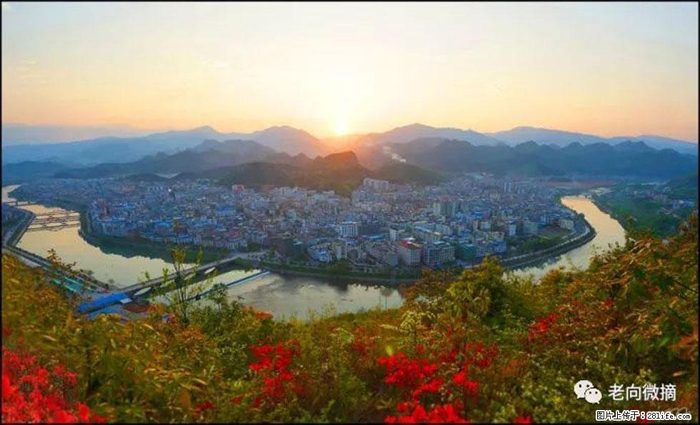 【春天，广西桂林灌阳县向您发出邀请！】登麒麟山，相约映山红 - 游山玩水 - 潜江生活社区 - 潜江28生活网 qianjiang.28life.com