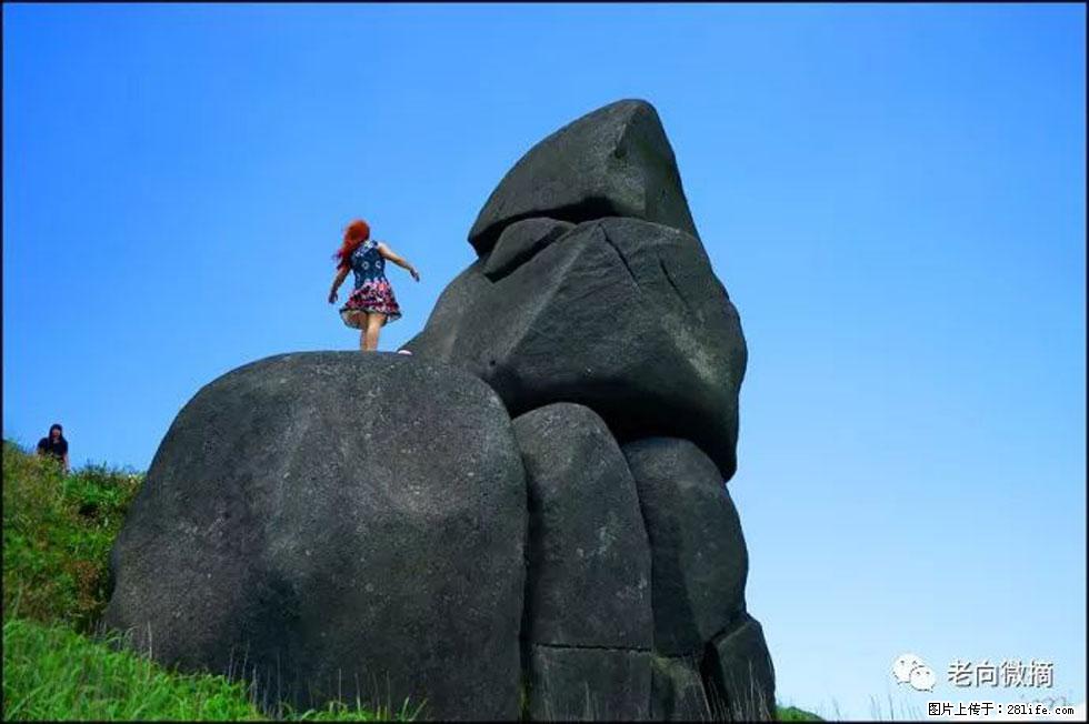 【春天,广西桂林灌阳县向您发出邀请!】宝盖山上映山红 - 游山玩水 - 潜江生活社区 - 潜江28生活网 qianjiang.28life.com