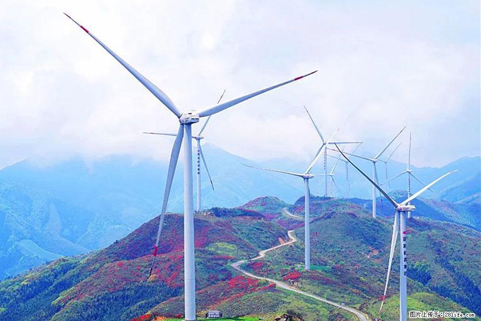 【春天，广西桂林灌阳县向您发出邀请！】春木界上映山红 - 游山玩水 - 潜江生活社区 - 潜江28生活网 qianjiang.28life.com