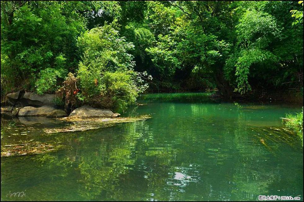 【春天，广西桂林灌阳县向您发出邀请！】如梦似幻莲溪庐 - 游山玩水 - 潜江生活社区 - 潜江28生活网 qianjiang.28life.com