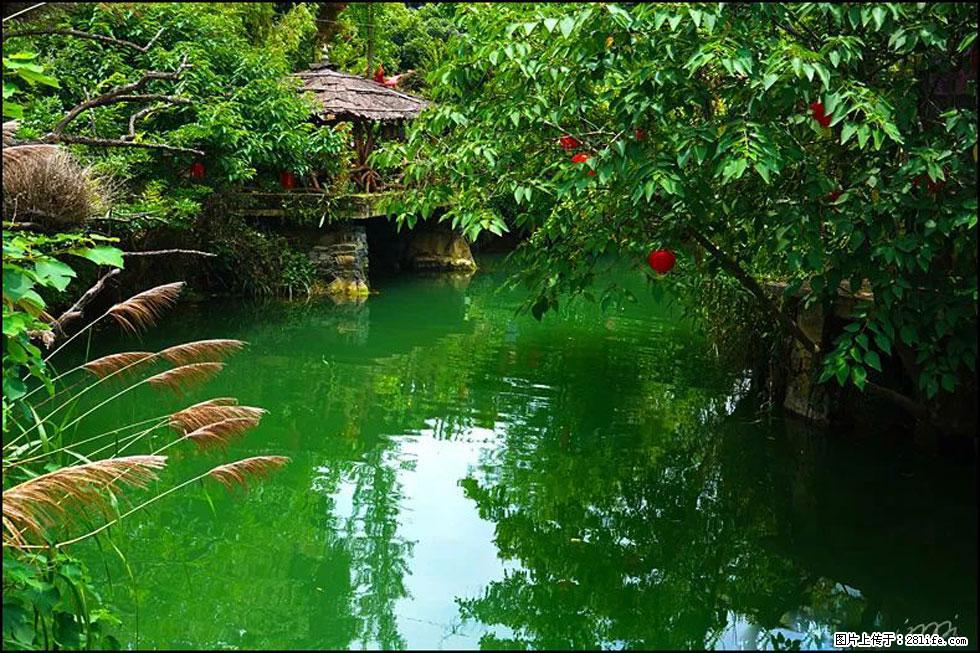 【春天，广西桂林灌阳县向您发出邀请！】如梦似幻莲溪庐 - 游山玩水 - 潜江生活社区 - 潜江28生活网 qianjiang.28life.com
