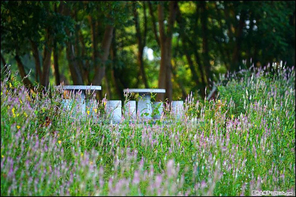 【春天，广西桂林灌阳县向您发出邀请！】熊家寨湿地公园 - 游山玩水 - 潜江生活社区 - 潜江28生活网 qianjiang.28life.com