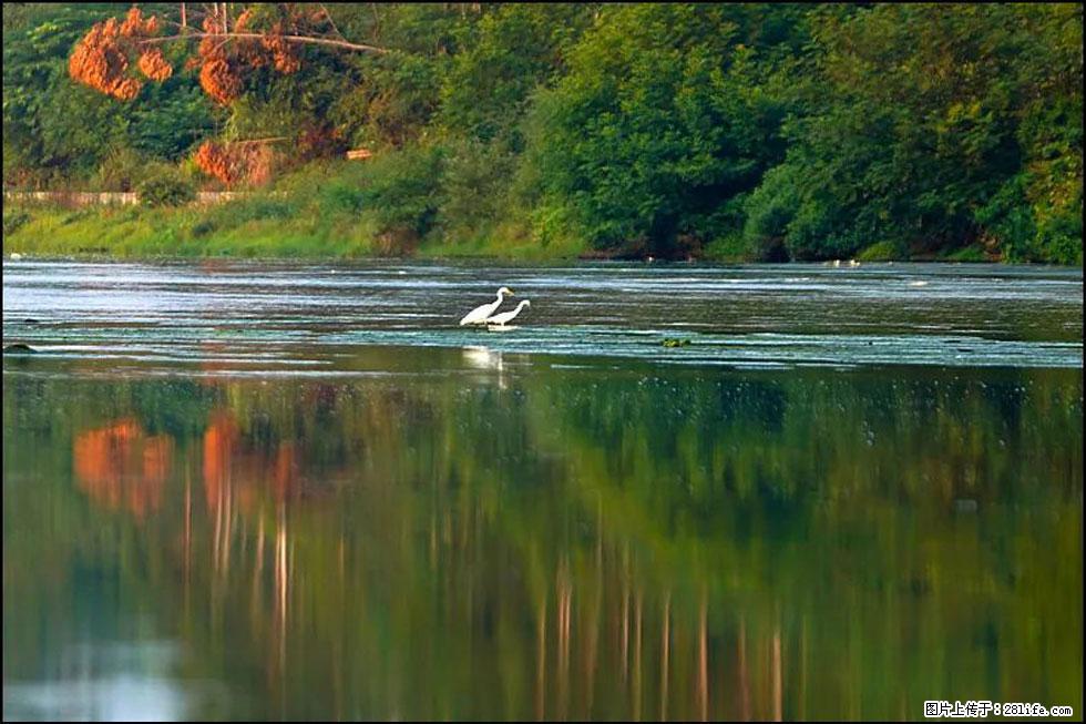【春天，广西桂林灌阳县向您发出邀请！】熊家寨湿地公园 - 游山玩水 - 潜江生活社区 - 潜江28生活网 qianjiang.28life.com