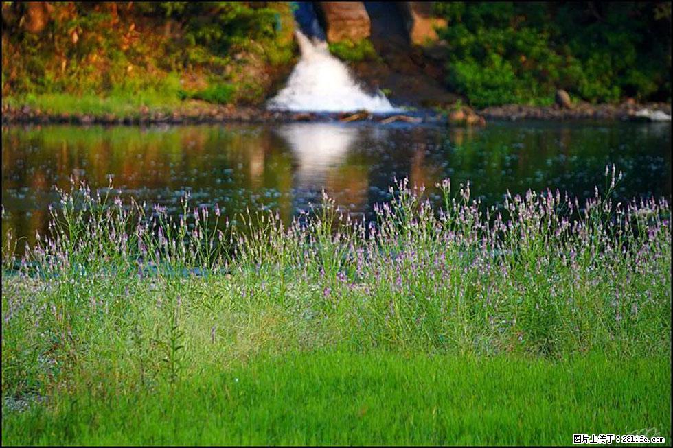 【春天，广西桂林灌阳县向您发出邀请！】熊家寨湿地公园 - 游山玩水 - 潜江生活社区 - 潜江28生活网 qianjiang.28life.com