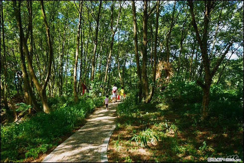 【春天，广西桂林灌阳县向您发出邀请！】熊家寨湿地公园 - 游山玩水 - 潜江生活社区 - 潜江28生活网 qianjiang.28life.com