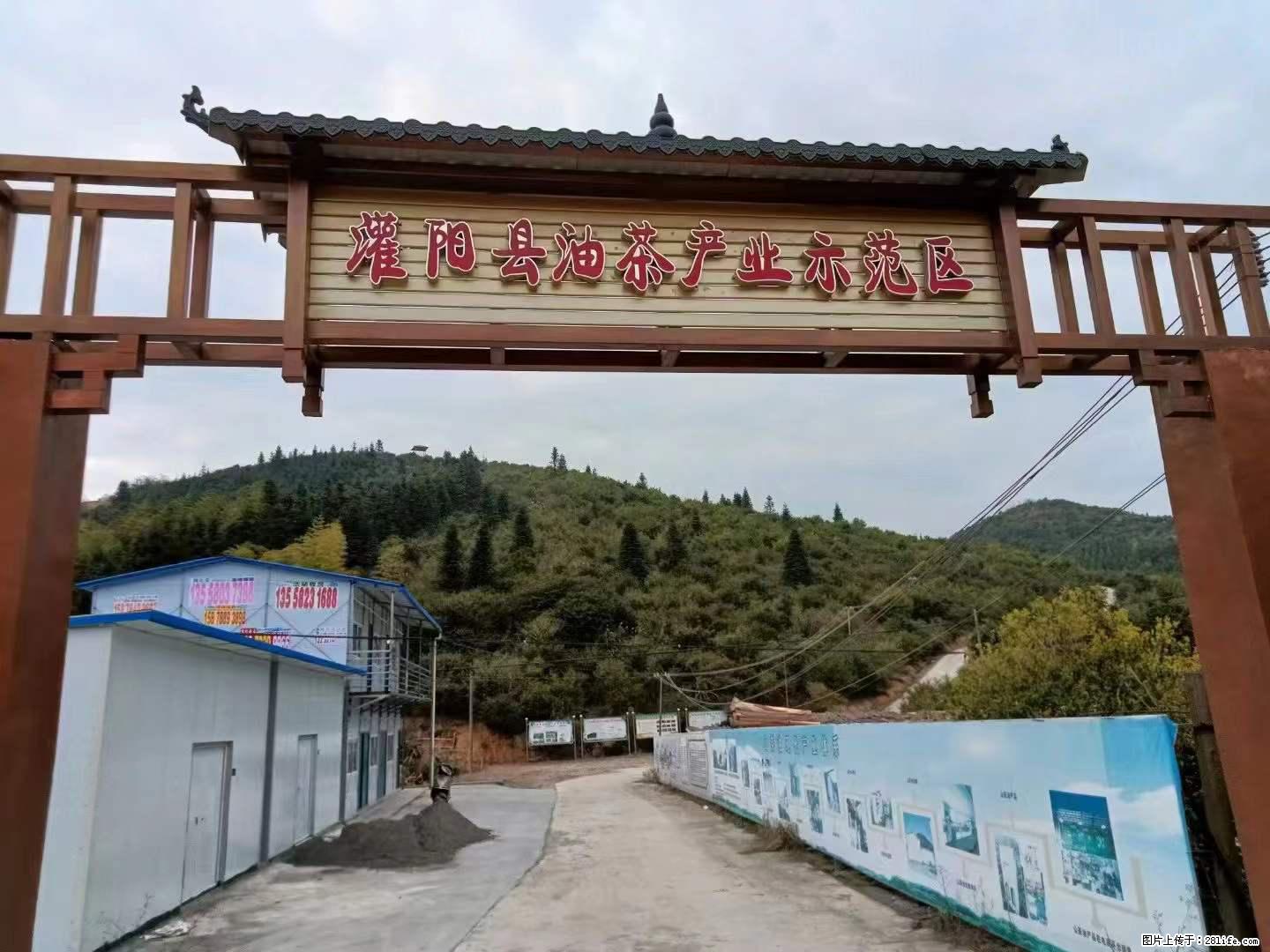 【灌阳县油茶产业示范区】一个有着充实的精神生活的人,对待身外之物自会有一种淡泊的态度 - 美食天地 - 潜江生活社区 - 潜江28生活网 qianjiang.28life.com