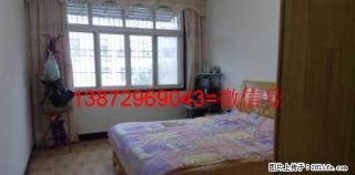 横堤路园林三小片单位房出租5/6层 - 潜江28生活网 qianjiang.28life.com