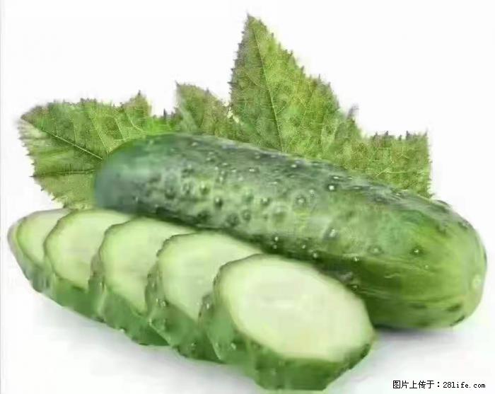 【生活小常识】吃黄瓜的好处 - 生活百科 - 潜江生活社区 - 潜江28生活网 qianjiang.28life.com
