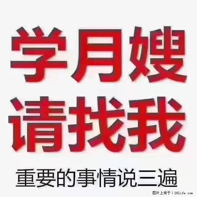 【招聘】月嫂，上海徐汇区 - 职场交流 - 潜江生活社区 - 潜江28生活网 qianjiang.28life.com