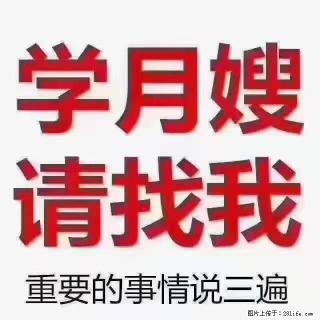 【招聘】月嫂，上海徐汇区 - 潜江28生活网 qianjiang.28life.com