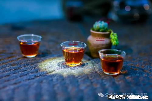 时间果百年古树2025年春红茶 - 购物交流 - 潜江生活社区 - 潜江28生活网 qianjiang.28life.com