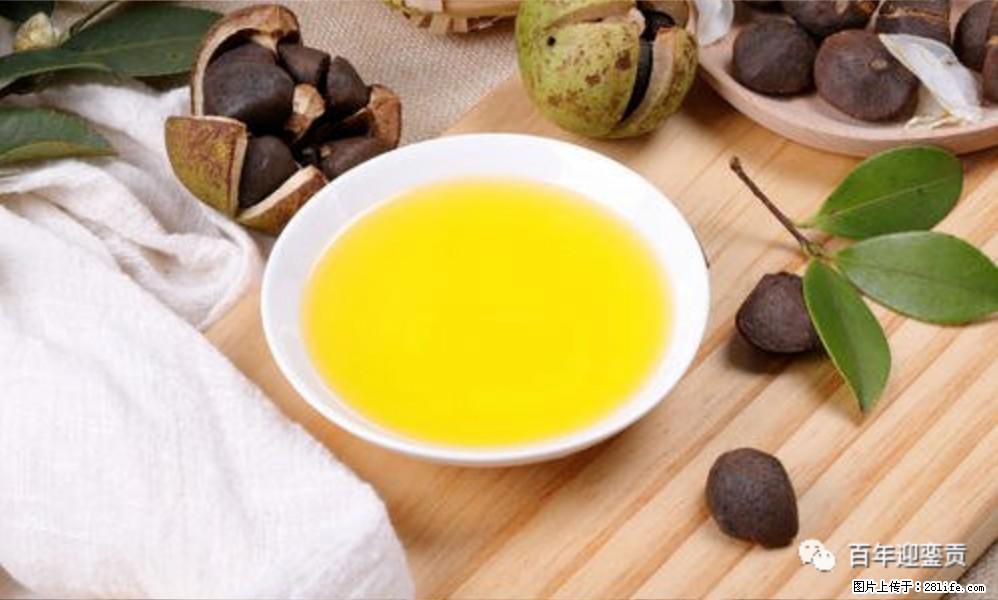 揭秘茶油的5大核心营养成分！被称为人体健康的“守护盾”！ - 潜江生活资讯 - 潜江28生活网 qianjiang.28life.com