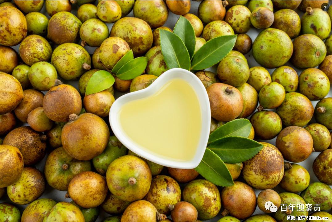 世界没有真相，只有认知，最好的食用油是中国的山茶油！ - 潜江生活资讯 - 潜江28生活网 qianjiang.28life.com