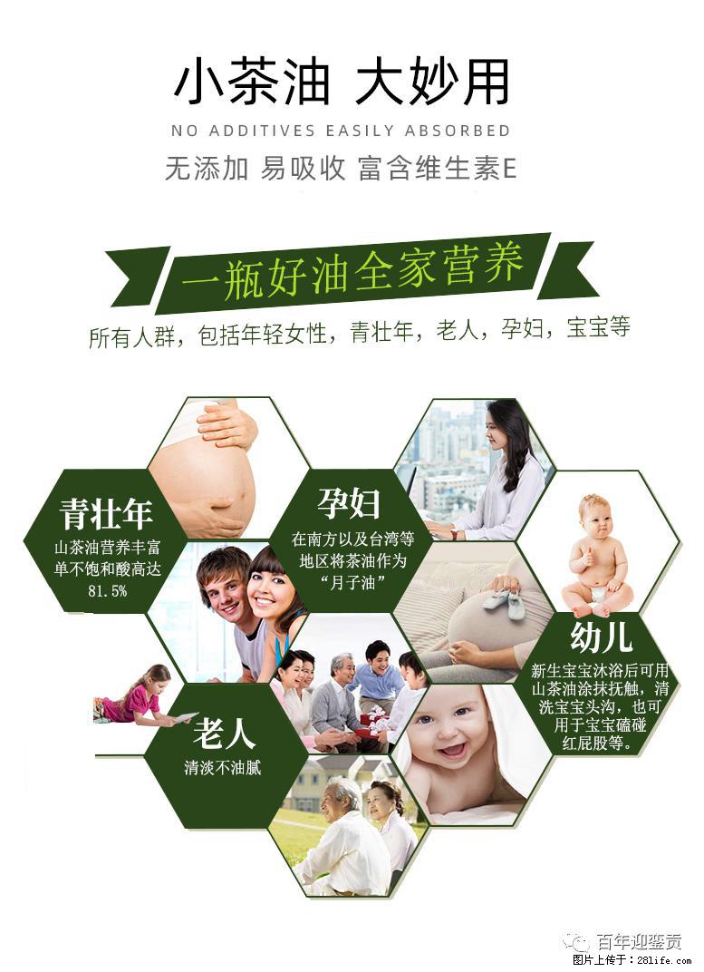 世界没有真相，只有认知，最好的食用油是中国的山茶油！ - 潜江生活资讯 - 潜江28生活网 qianjiang.28life.com