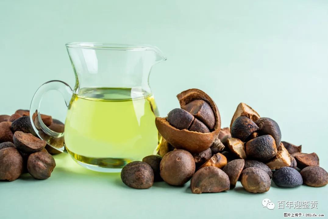 世界没有真相,只有认知,最好的食用油是中国的山茶油! - 潜江生活资讯 - 潜江28生活网 qianjiang.28life.com