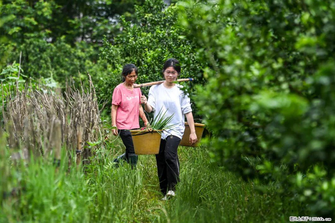 全网追的“扁担女孩”，找了一份暑假工，时薪12元 - 潜江生活资讯 - 潜江28生活网 qianjiang.28life.com