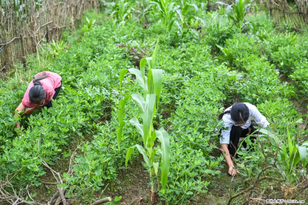全网追的“扁担女孩”，找了一份暑假工，时薪12元 - 潜江生活资讯 - 潜江28生活网 qianjiang.28life.com