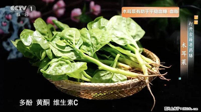 比牛奶补钙还厉害!凉血解毒、稳血糖...这菜冬天必吃,很多人却当草 - 潜江生活资讯 - 潜江28生活网 qianjiang.28life.com