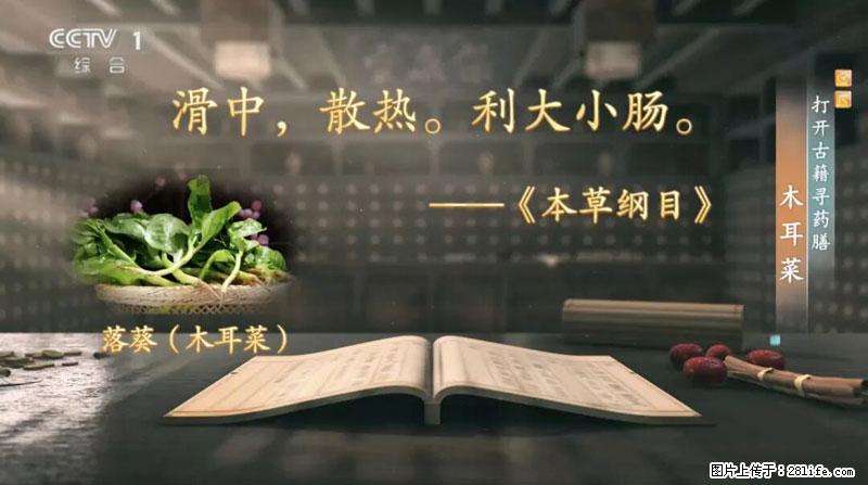 比牛奶补钙还厉害!凉血解毒、稳血糖...这菜冬天必吃,很多人却当草 - 潜江生活资讯 - 潜江28生活网 qianjiang.28life.com