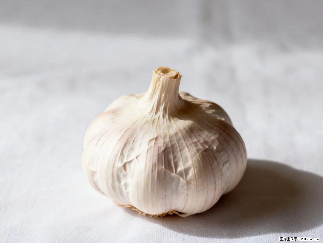 关于大蒜,除了“天然抗生素”,这4个谣言更该警惕! - 潜江生活资讯 - 潜江28生活网 qianjiang.28life.com
