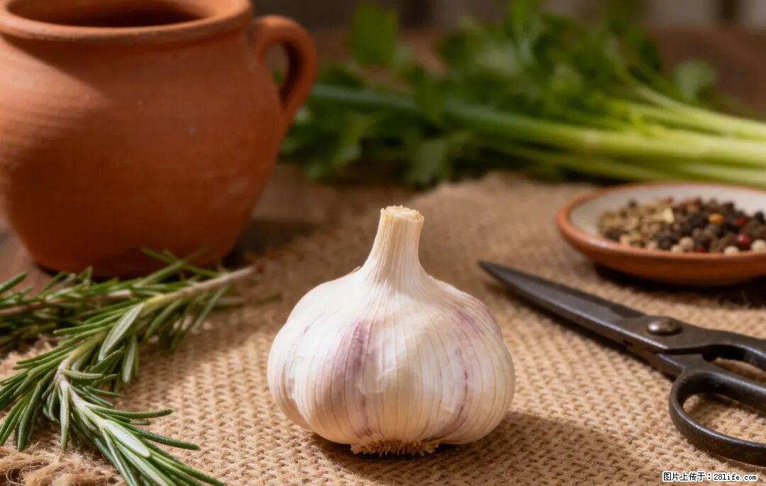 关于大蒜,除了“天然抗生素”,这4个谣言更该警惕! - 潜江生活资讯 - 潜江28生活网 qianjiang.28life.com