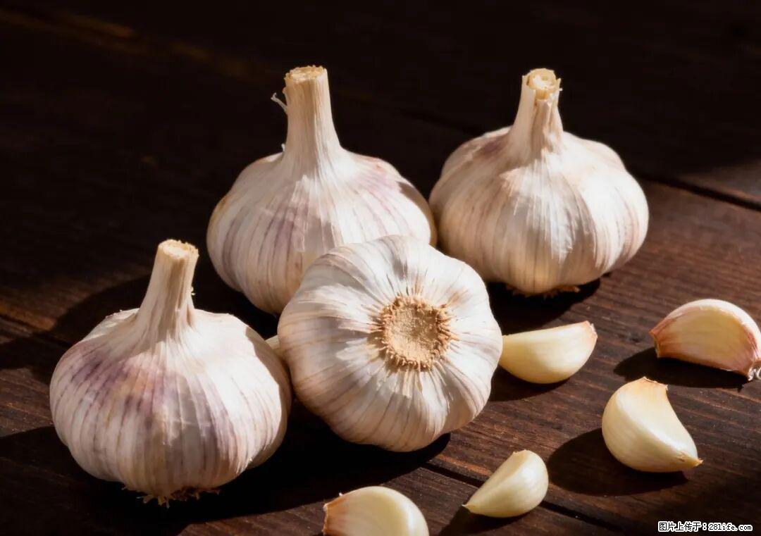 关于大蒜,除了“天然抗生素”,这4个谣言更该警惕! - 潜江生活资讯 - 潜江28生活网 qianjiang.28life.com