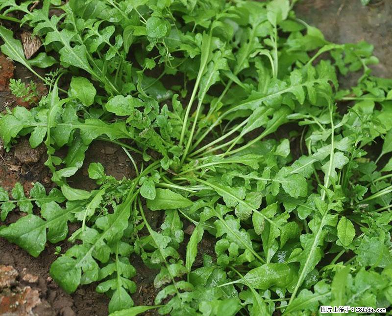 这些蔬菜是“天然钙片”，这6种被医生重点推荐 - 潜江生活资讯 - 潜江28生活网 qianjiang.28life.com