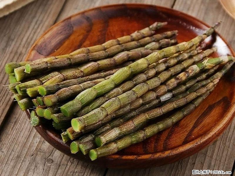 铁皮石斛的作用与功能主治 - 潜江生活资讯 - 潜江28生活网 qianjiang.28life.com