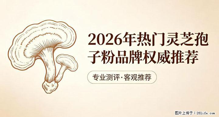 灵芝孢子粉含量越高越有效？2026 年七款热门品牌深度实测，肠胃敏感者避坑指南 - 潜江生活资讯 - 潜江28生活网 qianjiang.28life.com